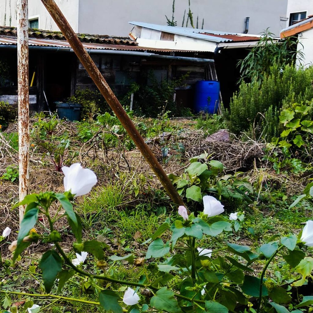 Jardin partagé le potager minimaliste