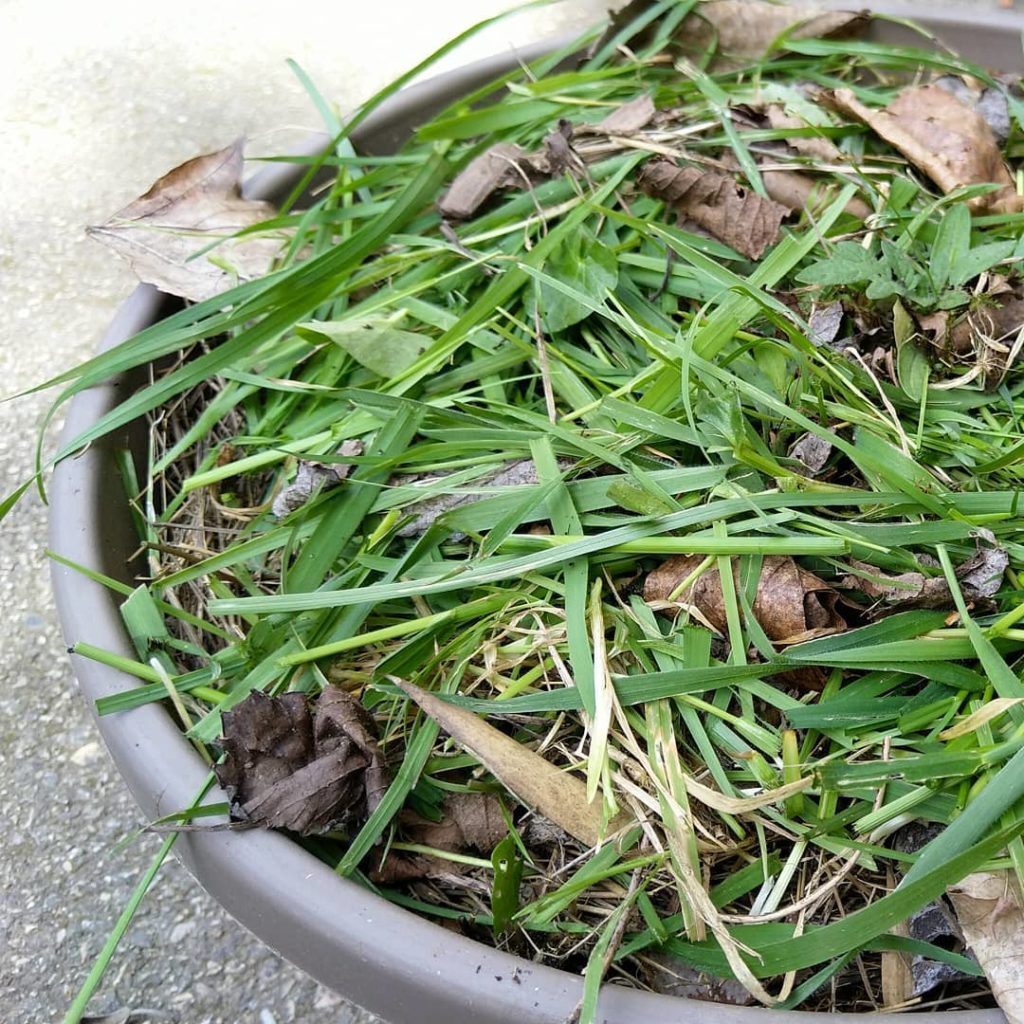 lombricompost le potager minimaliste