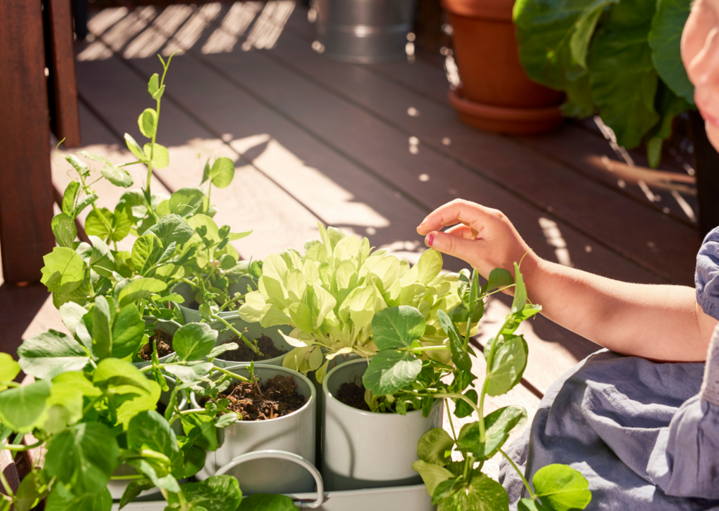 Jardinage en pot : avantages et inconvénients