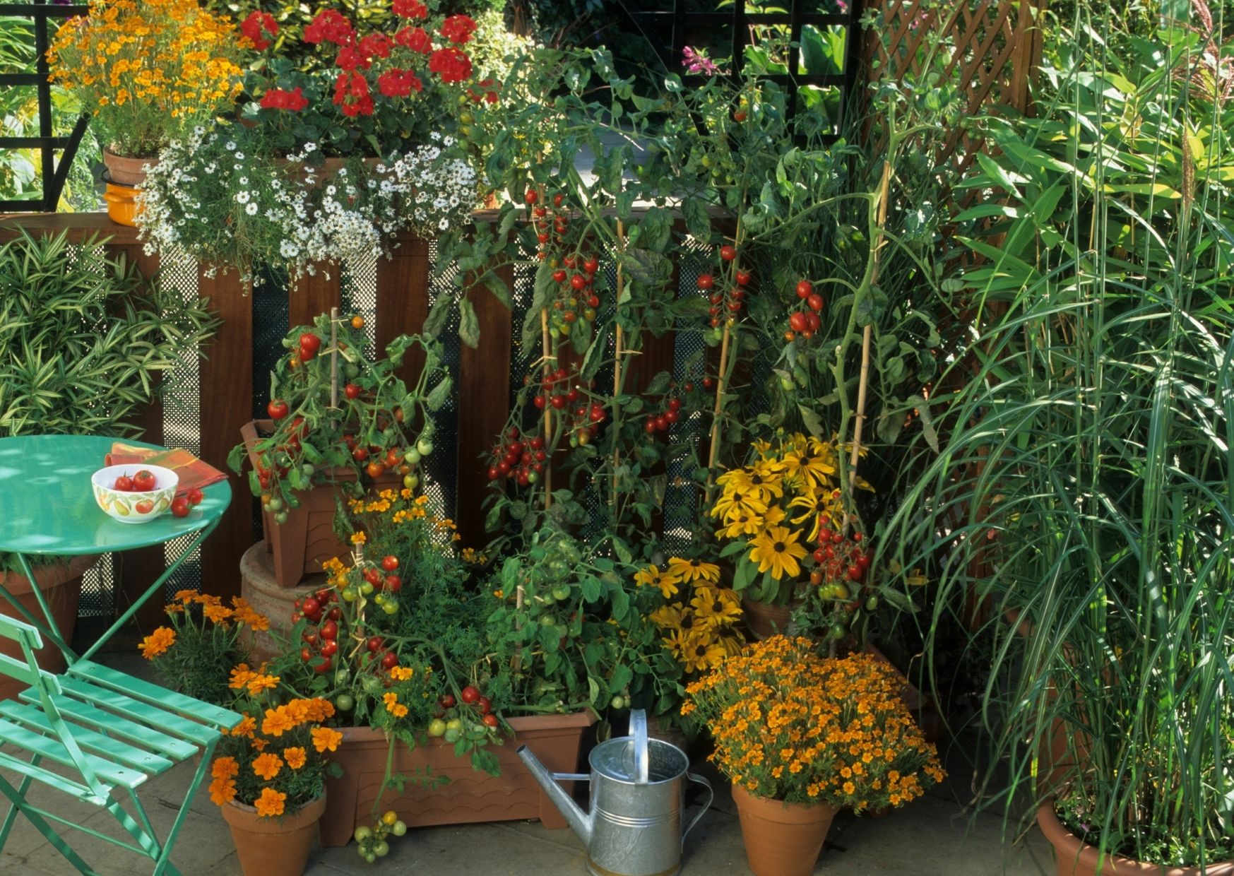 Que planter dans un balcon ?