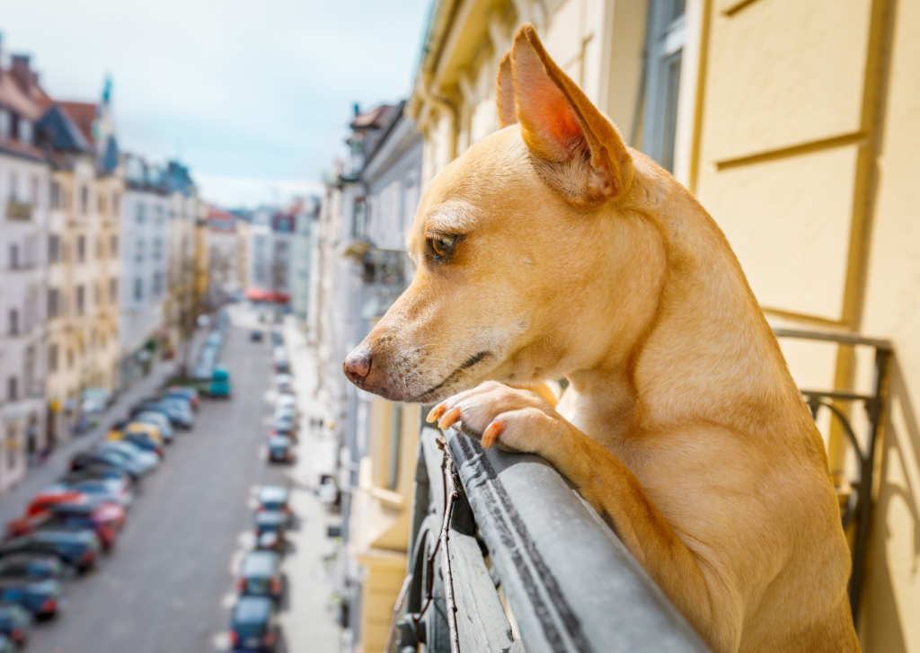 Observer et identifier l'exposition de son balcon