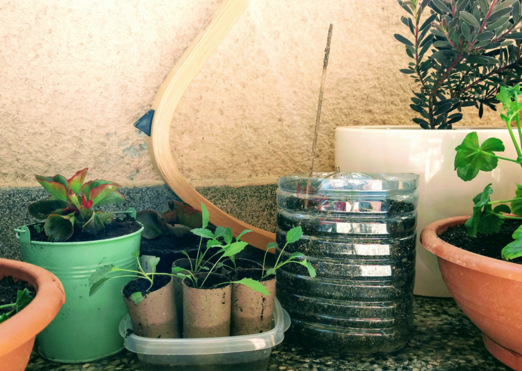 Pas besoin de dépenser des fortunes quand on début un potager sur son balcon