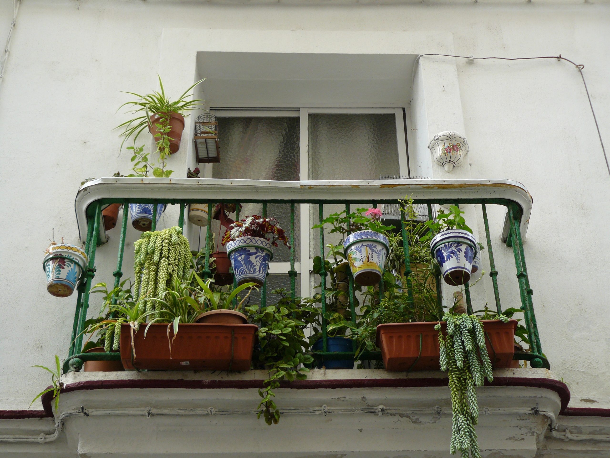 7 choses à savoir avant de lancer un potager sur son balcon